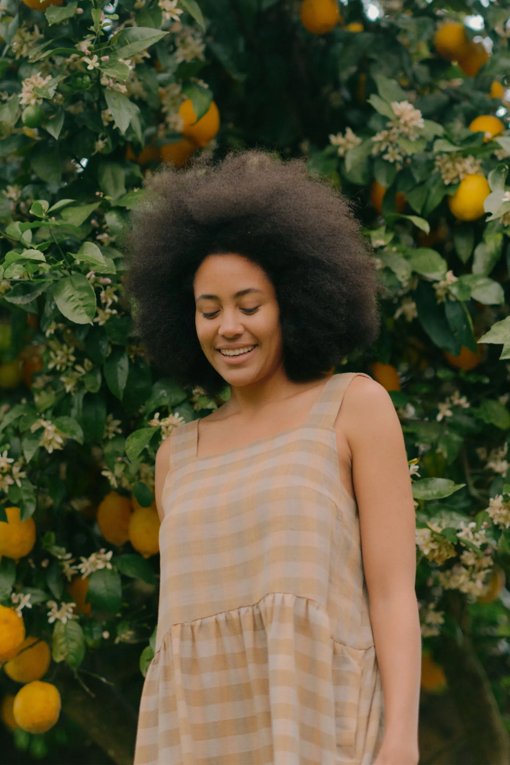 Ash Dress | Earth Check