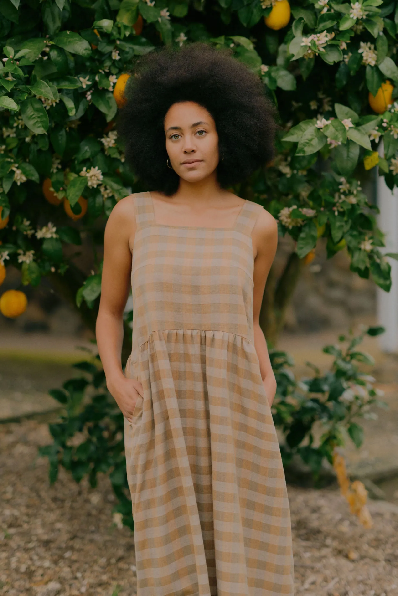 Ash Dress | Earth Check